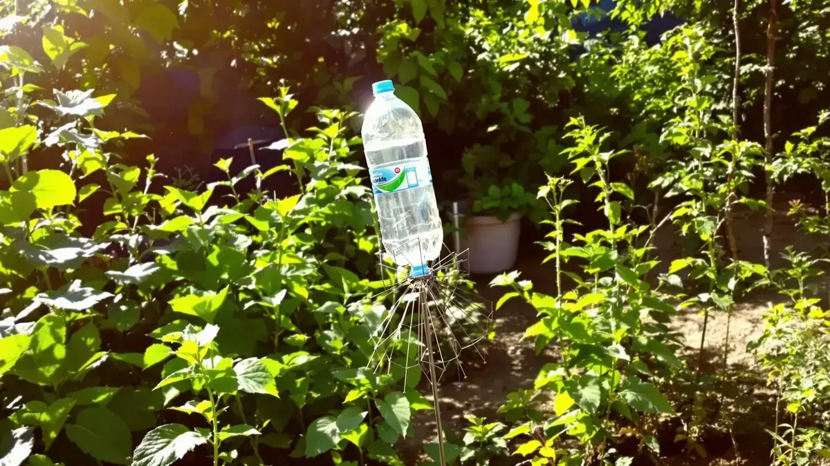Bescherm je tuin tegen ratten met een simpele truc met een plastic fles